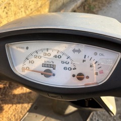 ホンダ AF35 ライブディオの画像