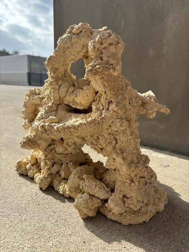 2 人工ライブロック30cm【一点物】