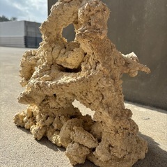 #2 人工ライブロック30cm【一点物】の画像