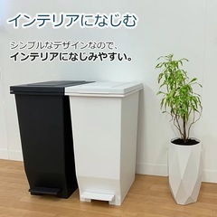 新品 密閉ペダル式ゴミ箱 45L ブラック 日本製　アスベル エバン密閉ペダルペール 　の画像