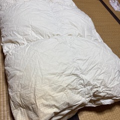 羽毛薄掛け布団シングル  水鳥羽毛100%の画像