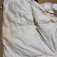 羽毛薄掛け布団シングル  水鳥羽毛100%の画像