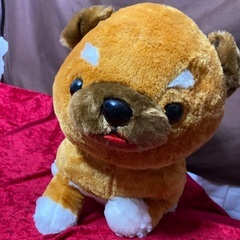 豆しば三兄弟 の弟子 BIG ぬいぐるみ 3体 訳ありの画像