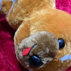 豆しば三兄弟 の弟子 BIG ぬいぐるみ 3体 訳ありの画像