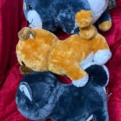 豆しば三兄弟 の弟子 BIG ぬいぐるみ 3体 訳ありの画像