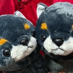 豆しば三兄弟 の弟子 BIG ぬいぐるみ 3体 訳ありの画像