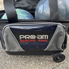 ボーリングボール（15） ボールバッグの画像