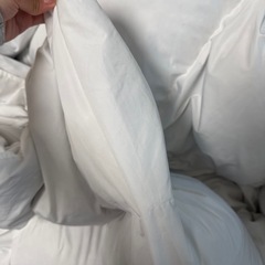 ニトリ 羽毛かけ布団ダブル(カバーつき)の画像