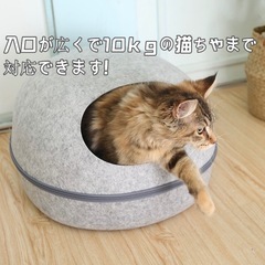 キャットホイール、ハウスセットの画像