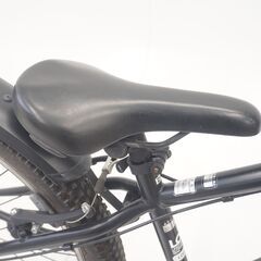 ASAHI LOG Jr 26インチ ジュニアマウンテンバイクの画像