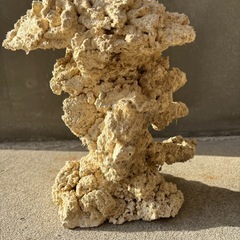 #3 人工ライブロック25cm【一点物】の画像