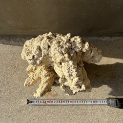 #3 人工ライブロック25cm【一点物】の画像