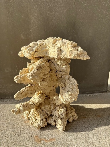 #3 人工ライブロック25cm【一点物】