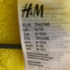 ポケモン　ピカチュウ　着ぐるみ　140サイズの画像