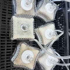 エアーポンプ、投げ込み式フィルターの画像