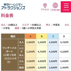 東京ドームシティアトラクション　乗り放題ワンデーパスポート　大人2枚セットの画像