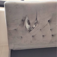 ダブルベット の画像