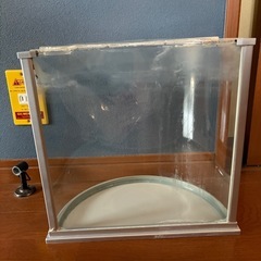 半円の水槽の画像