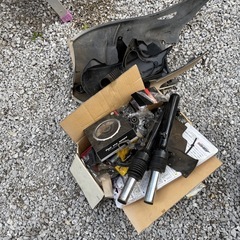 シグナスの画像