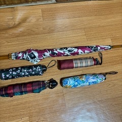 婦人用傘の画像