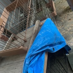 ペットケージの画像