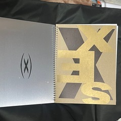 マドンナ写真集by MADONNA 同朋舎出版の画像