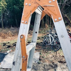 脚立色々有ります。の画像