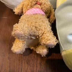 すみっコぐらし　ぬいぐるみ3個　他の画像