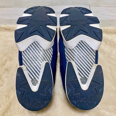 リーボック インスタポンプフューリー ネイビー 27.5cm V65752の画像