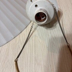 電球の傘の画像