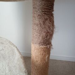 キャットタワーの画像