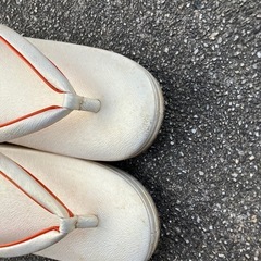 草履 初詣 23.0cm レディースの画像