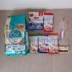 猫用システムトイレ、フード、コレクション用ショーケース等の画像