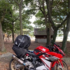 美品❗️CBR250RR MC51 の画像