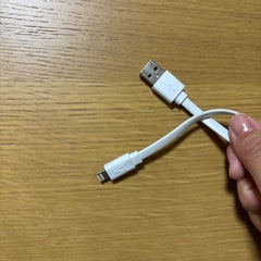 USB充電器タイプB×6  A→C変換×1 ライトニング×1の画像