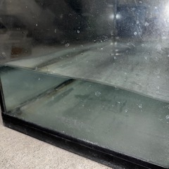 ➁ＧＥＸ ６０cm曲げガラス水槽 ラピレスＲＶ６０Ｎ（今年中に処分予定） の画像