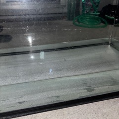 ➁ＧＥＸ ６０cm曲げガラス水槽 ラピレスＲＶ６０Ｎ（今年中に処分予定） の画像