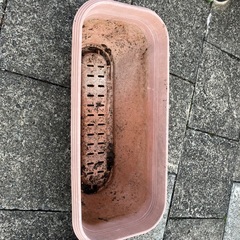 プランターの画像