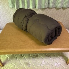 速暖2秒！600W ハロゲンヒーター こたつの画像