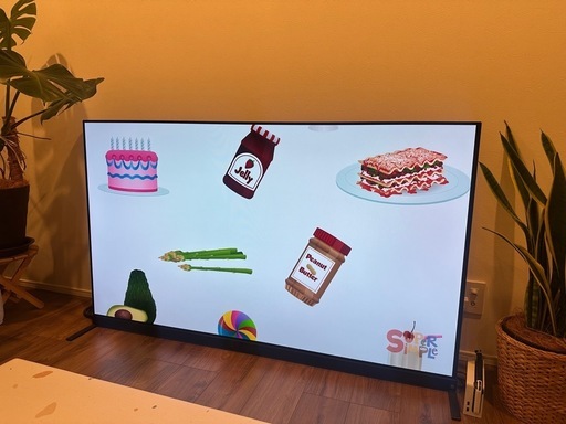 [使用1年/美品]REGZA 有機ELテレビ 65インチ