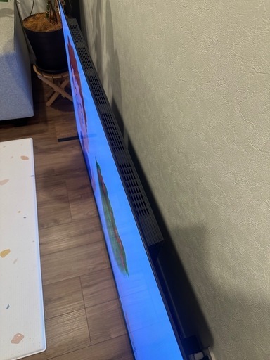 [使用1年/美品]REGZA 有機ELテレビ 65インチ
