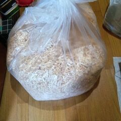 ヒノキのおかくずチップ　いかがでしょうか？の画像