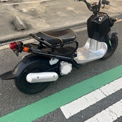 人気ズーマーの画像