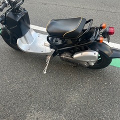 人気ズーマーの画像