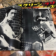 ブルース・リー　雑誌、LP、レコード、ポスターなどの画像