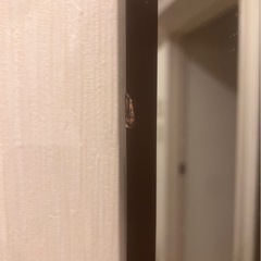 【決まりました】ニトリ 全身鏡の画像