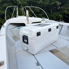 ヤマハ YDX30 ドライブ船の画像