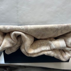 新品　ポロクラブ　綿毛布　シングル　140×200cmの画像