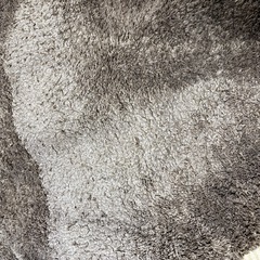 カーペットの画像