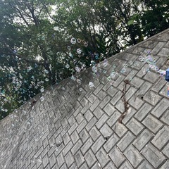 バブルガン10個 の画像